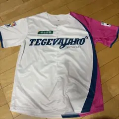テゲバジャーロ宮崎 応援シャツ