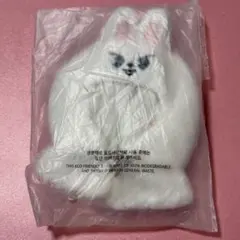 SKZOO 10CM PLUSH OUTFIT Leebit