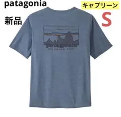 大特価‼️パタゴニア メンズ・キャプリーン・クール・デイリー・シャツ⭐️完売柄⭐️S