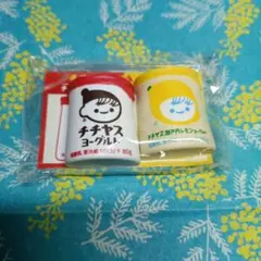 チチヤス　チー坊マグネットセット