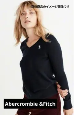 【値段交渉可】アバクロンビー＆フィッチ セーター 黒 ブラック