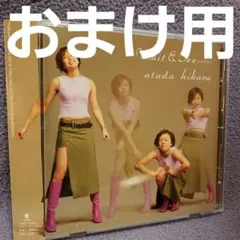 宇多田ヒカル 「Wait & See ~リスク~」