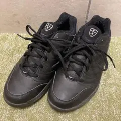 【used】ナイキ　NIKE ゴルフスパイク　25cm