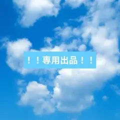 ★★専用出品★★
