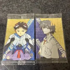 新世紀エヴァンゲリオン 碇シンジ、渚カヲルカード