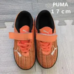 Item thumbnail for item 14ed4ac2-bdc4-4126-9b89-80046290d648