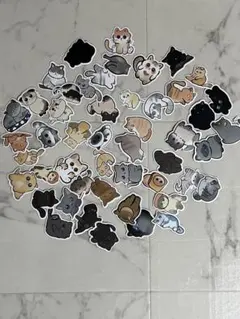Cute Cat ステッカー 49枚セット オマケ付き