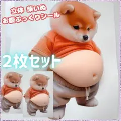 SHO-RYO様 リクエスト 2点 まとめ商品