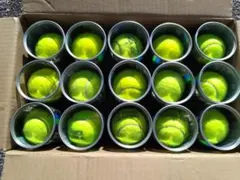 Item thumbnail for item 1fc0399e-1305-4a39-8542-523fff58814f