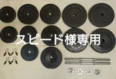 RIORES(リオレス) 可変式 ダンベル セメントダンベル 合計40kgのサムネイル