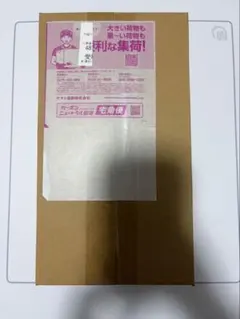 ポケモンセンターヒロシマ　スペシャルBOX 再販分