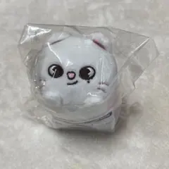 straykids skzoo ジニレット バックチャーム ツムツム