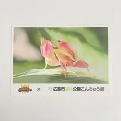 NaCl@次発送8/10様 リクエスト 2点 まとめ商品