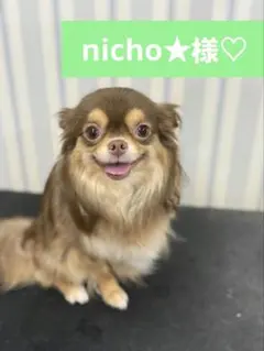 nicho★様 リクエスト 4点 まとめ商品