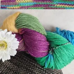 ⑨ ソックヤーン 毛糸 手染め 編物 編み物 糸 手染め毛糸 250g