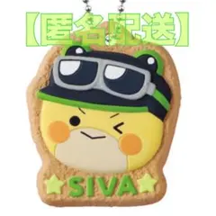 【匿名配送】カラフルピーチ クッキーチャームコット　シヴァ