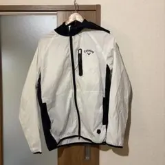 Item thumbnail for item 3fe13333-fb4f-44ee-bd36-ca2792a5deec