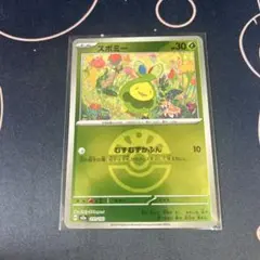 ポケモンカード　スボミー　ミラー