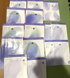 ①【２個口発送】日能研　５年生　各種テキスト　栄冠　全国公開模試　育成テスト ①【2個口発送】日能研 5年生 各種テキスト 栄冠 全国公開模試 育成