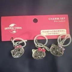 UNIVERSAL STUDIOS JAPAN CHARM SET