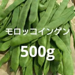 モロッコインゲン 500g以上のサムネイル