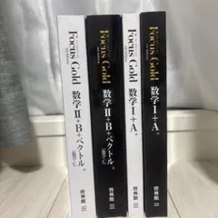 Focus Gold 数ⅠA 数IIB+ベクトル 解答セット