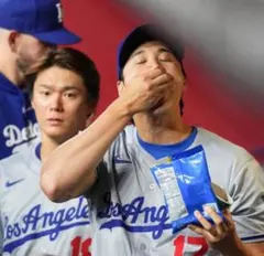 2袋セット　GIANTS ひまわりの種 オリジナル味　163g ×2 大谷翔平