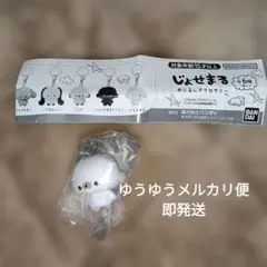 じょせまるめじるしアクセサリー　らて