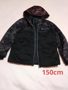 Item thumbnail for item 7f652d17-33bc-439f-94df-d72f4e9a70ec