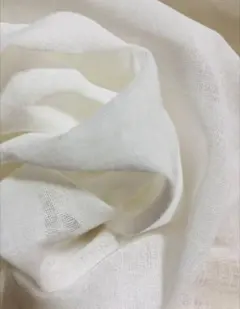 Item thumbnail for item 53da3273-8060-43b8-8eab-37f7819c7d58