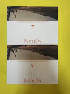 SEVENTEEN facethesun kit キノ　トレカ無し　2個セット