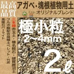 【三本線赤玉土使用】アガベ・塊根植物用土 「極小粒」 2㍑ / グラキリス 実生のサムネイル
