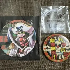 ワンピース 麦わらストア 輩缶バッジ サバイバルの海 ハンコック