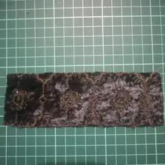 Item thumbnail for item 71ef9504-0d20-44ad-8659-5bac3662ce89