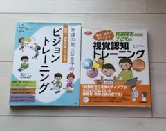視覚認知トレーニング　ビジョントレーニング　本　　参考書　2冊セット