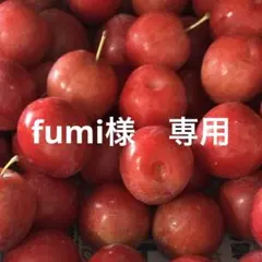 fumi様 専用　1253g