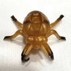 セミの抜け殻 フィギュア