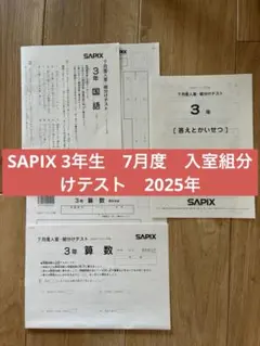 2026年最新】sapix 3年 テストの人気アイテム - メルカリ