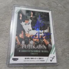 Item thumbnail for item 78ae46bd-9fee-4c55-8b79-695d66bfc06c