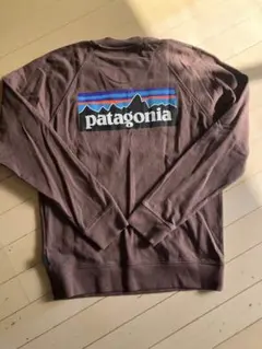 美品　patagonia パタゴニア　トレーナー　スウェット　ブラウンXS