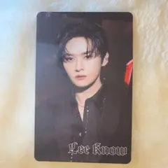 Stray Kids dominATE JAPAN アプグレ トレカ リノ