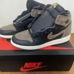 Nike Air Jordan 1 ブラウン/ブラック