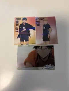 ハイキュー!! 影山飛雄 日向翔陽 カードセット - メルカリ