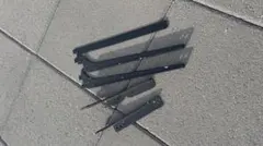 Item thumbnail for item 275c266c-602b-45d0-be98-fa10f9d83a1f