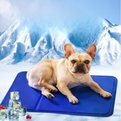 Item thumbnail for item c6105cfa-bc09-44bd-9a19-9badf20f1ede