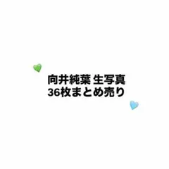 櫻坂46 向井純葉 生写真 まとめ売り