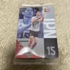 バレーボール日本代表 甲斐優斗 カード