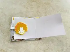 【最終値下】前髪クリップコレクション(名探偵コナン vol.3) 遠山和葉