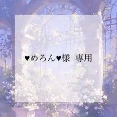 プレインシート　専用