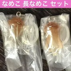 おさわり探偵なめこ栽培キット めじるしアクセサリー 長なめこ なめこ 2点セット